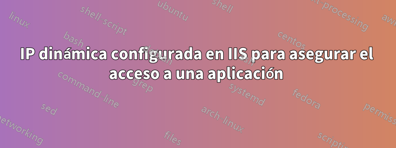 IP dinámica configurada en IIS para asegurar el acceso a una aplicación