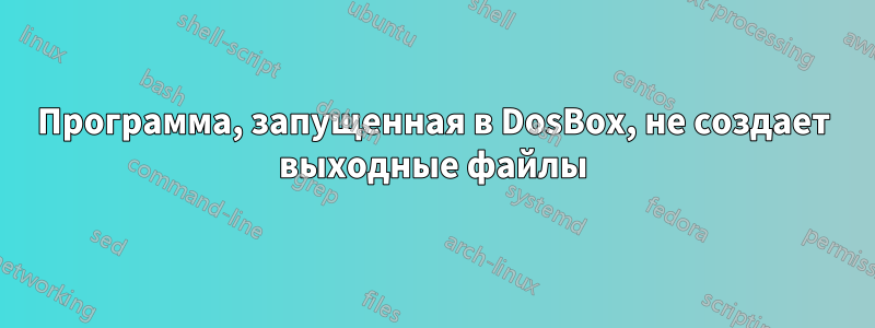 Программа, запущенная в DosBox, не создает выходные файлы