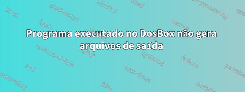 Programa executado no DosBox não gera arquivos de saída