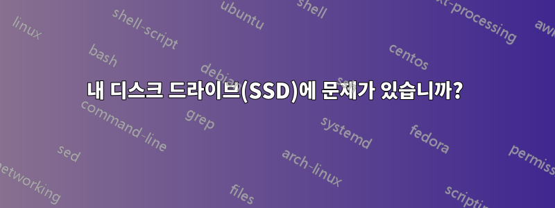 내 디스크 드라이브(SSD)에 문제가 있습니까?