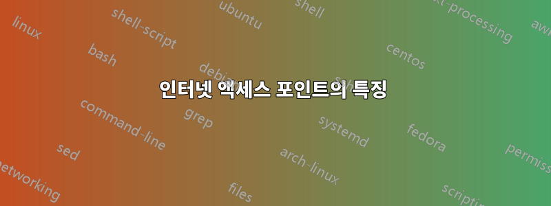 인터넷 액세스 포인트의 특징