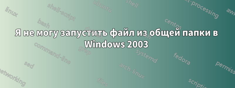 Я не могу запустить файл из общей папки в Windows 2003