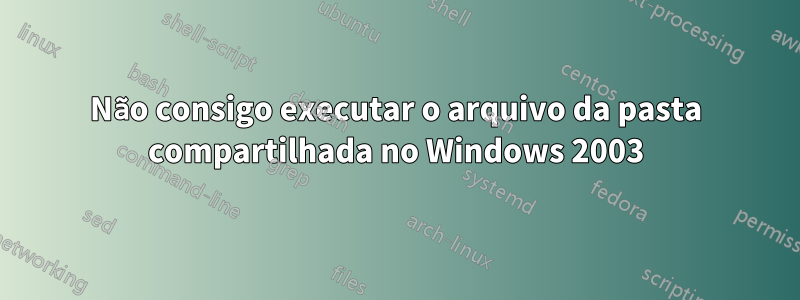 Não consigo executar o arquivo da pasta compartilhada no Windows 2003