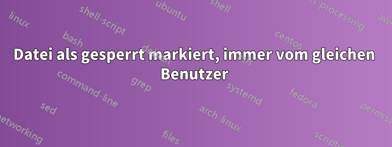 Datei als gesperrt markiert, immer vom gleichen Benutzer