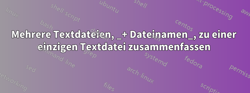 Mehrere Textdateien, _+ Dateinamen_, zu einer einzigen Textdatei zusammenfassen