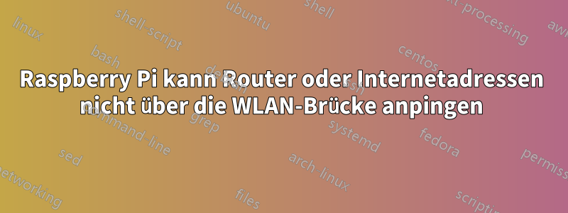 Raspberry Pi kann Router oder Internetadressen nicht über die WLAN-Brücke anpingen