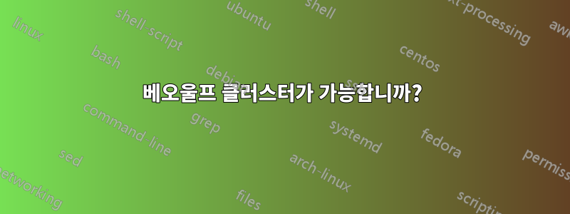 베오울프 클러스터가 가능합니까?