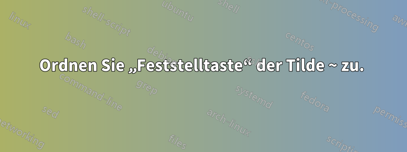 Ordnen Sie „Feststelltaste“ der Tilde ~ zu.