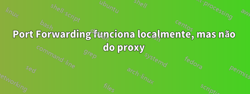 Port Forwarding funciona localmente, mas não do proxy