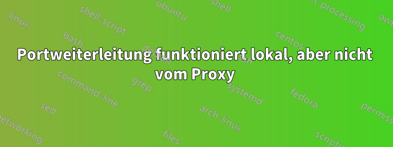 Portweiterleitung funktioniert lokal, aber nicht vom Proxy