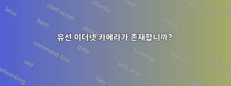 유선 이더넷 카메라가 존재합니까?