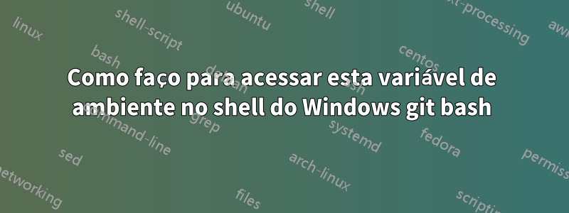 Como faço para acessar esta variável de ambiente no shell do Windows git bash