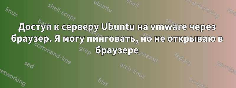Доступ к серверу Ubuntu на vmware через браузер. Я могу пинговать, но не открываю в браузере