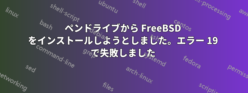 ペンドライブから FreeBSD をインストールしようとしました。エラー 19 で失敗しました