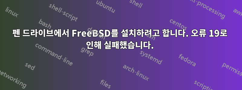 펜 드라이브에서 FreeBSD를 설치하려고 합니다. 오류 19로 인해 실패했습니다.