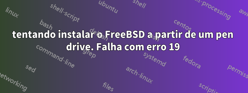 tentando instalar o FreeBSD a partir de um pen drive. Falha com erro 19
