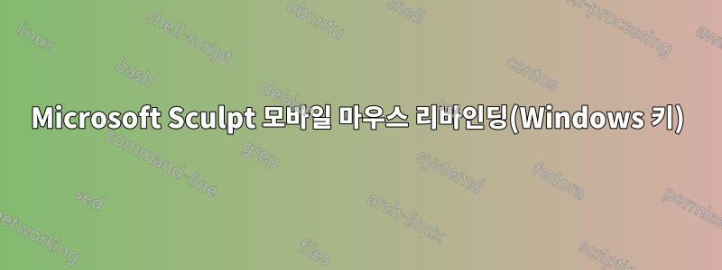 Microsoft Sculpt 모바일 마우스 리바인딩(Windows 키)