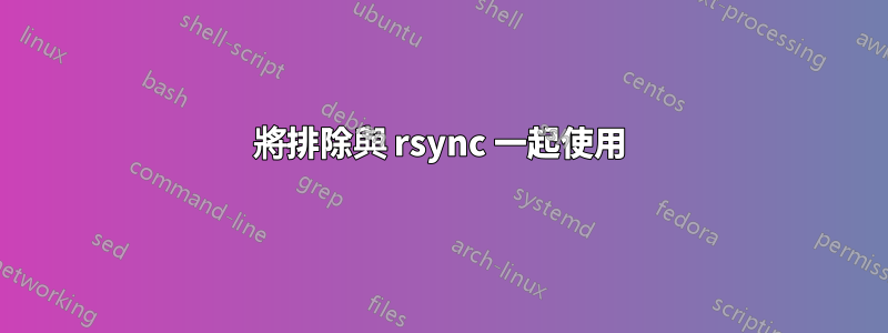 將排除與 rsync 一起使用
