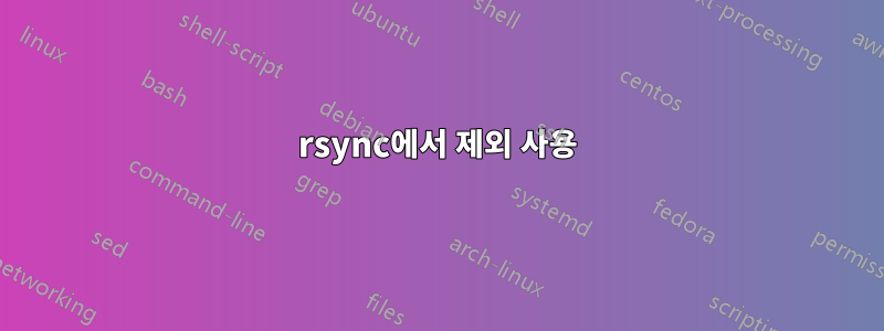 rsync에서 제외 사용