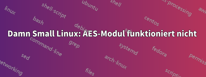 Damn Small Linux: AES-Modul funktioniert nicht