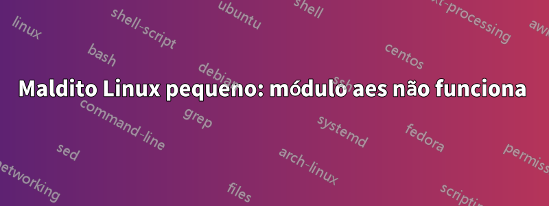Maldito Linux pequeno: módulo aes não funciona