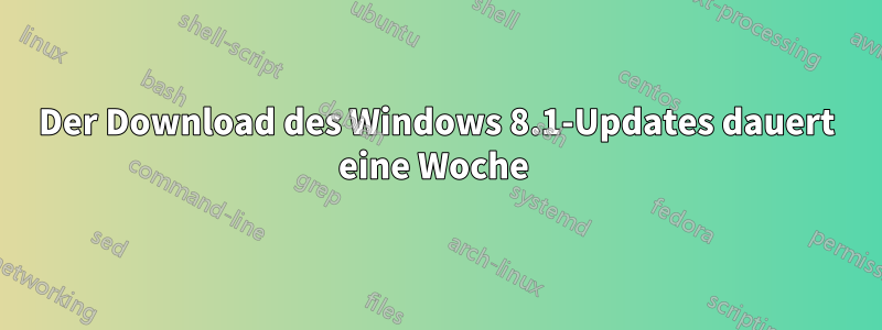 Der Download des Windows 8.1-Updates dauert eine Woche 