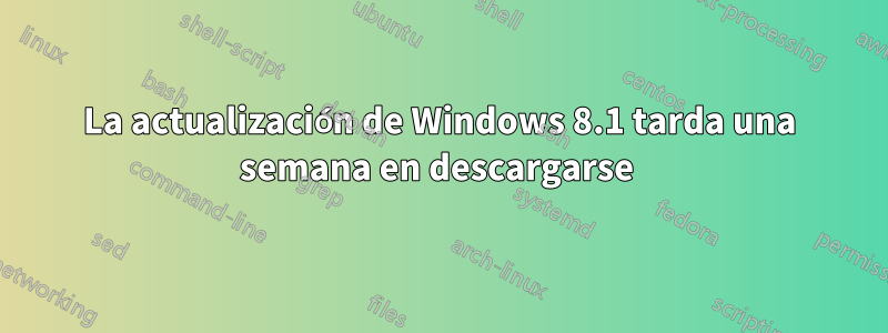 La actualización de Windows 8.1 tarda una semana en descargarse 