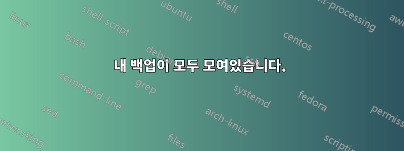 내 백업이 모두 모여있습니다.