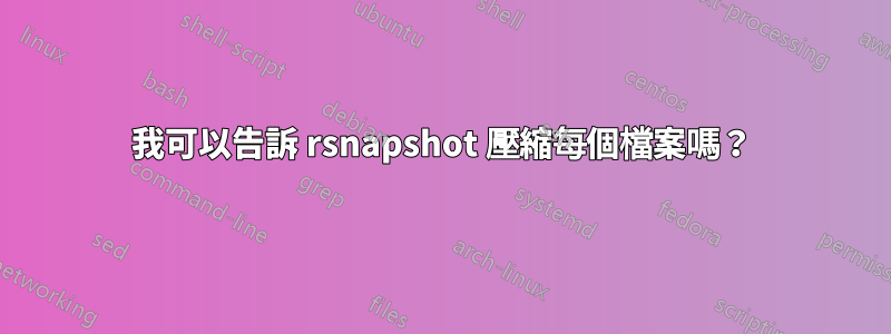 我可以告訴 rsnapshot 壓縮每個檔案嗎？