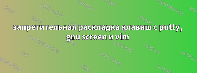 запретительная раскладка клавиш с putty, gnu screen и vim