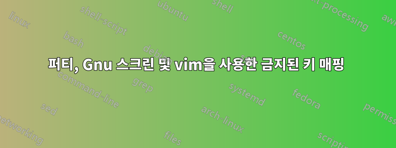 퍼티, Gnu 스크린 및 vim을 사용한 금지된 키 매핑