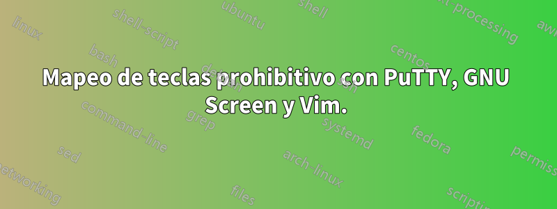 Mapeo de teclas prohibitivo con PuTTY, GNU Screen y Vim.