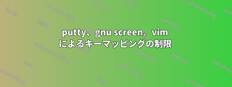 putty、gnu screen、vim によるキーマッピングの制限