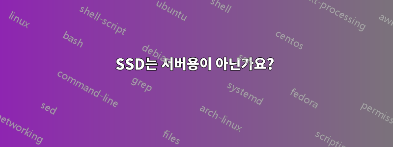 SSD는 서버용이 아닌가요?