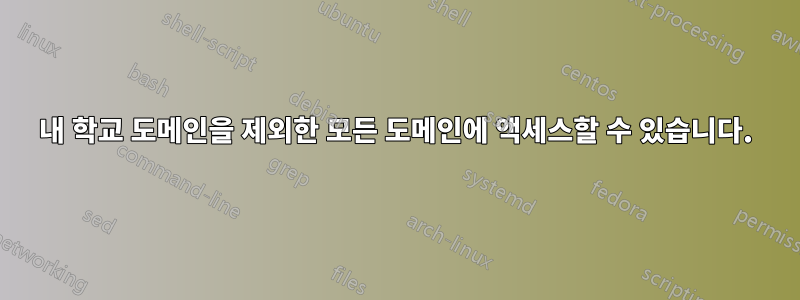내 학교 도메인을 제외한 모든 도메인에 액세스할 수 있습니다.