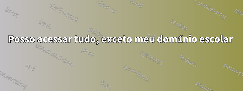 Posso acessar tudo, exceto meu domínio escolar
