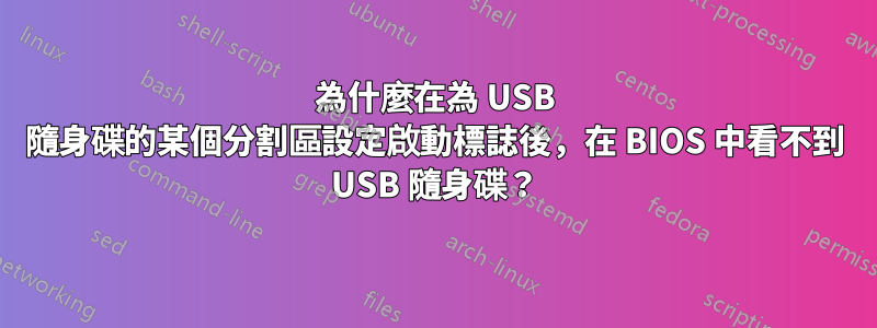 為什麼在為 USB 隨身碟的某個分割區設定啟動標誌後，在 BIOS 中看不到 USB 隨身碟？