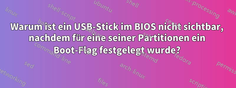 Warum ist ein USB-Stick im BIOS nicht sichtbar, nachdem für eine seiner Partitionen ein Boot-Flag festgelegt wurde?