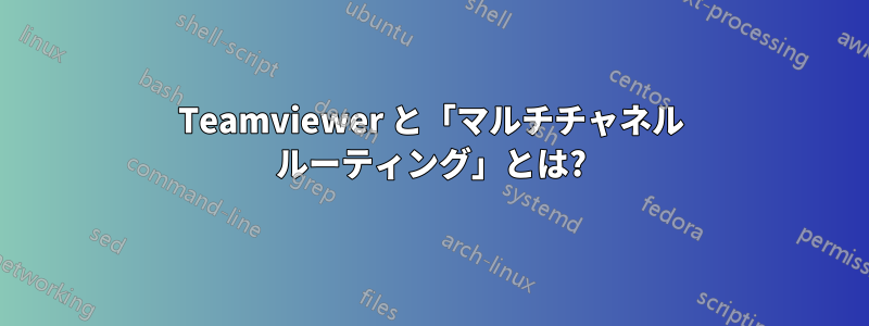 Teamviewer と「マルチチャネル ルーティング」とは?