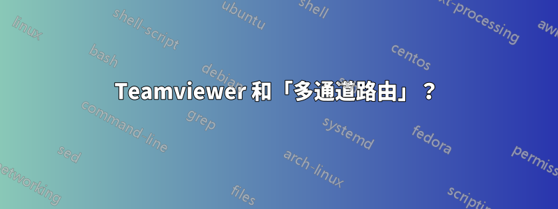 Teamviewer 和「多通道路由」？