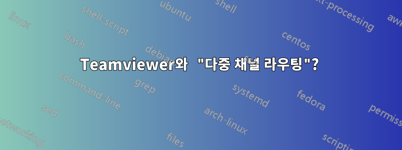 Teamviewer와 "다중 채널 라우팅"?