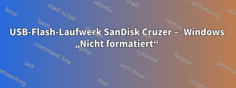 USB-Flash-Laufwerk SanDisk Cruzer – Windows „Nicht formatiert“