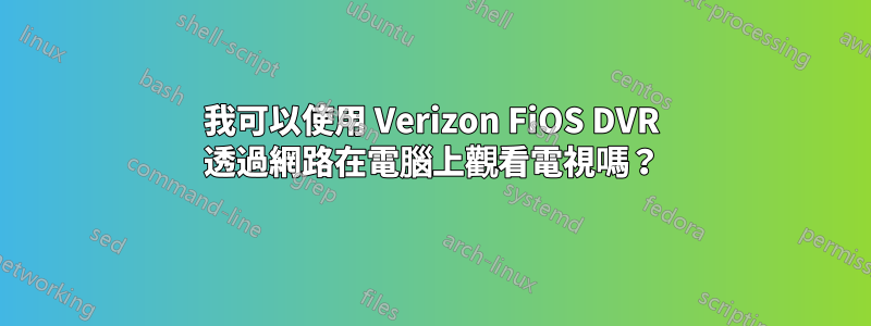 我可以使用 Verizon FiOS DVR 透過網路在電腦上觀看電視嗎？