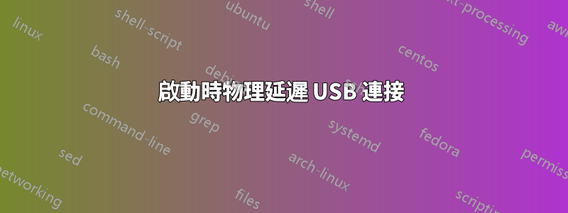 啟動時物理延遲 USB 連接