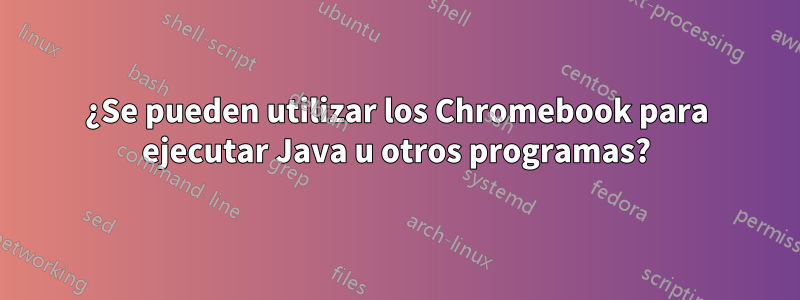 ¿Se pueden utilizar los Chromebook para ejecutar Java u otros programas?