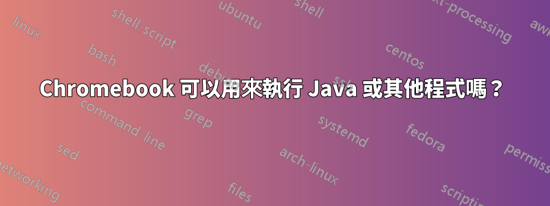 Chromebook 可以用來執行 Java 或其他程式嗎？