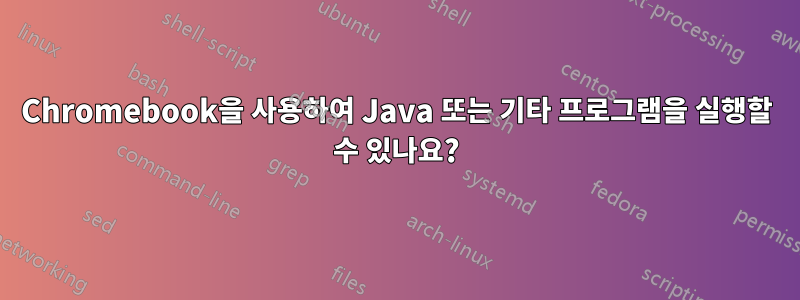 Chromebook을 사용하여 Java 또는 기타 프로그램을 실행할 수 있나요?