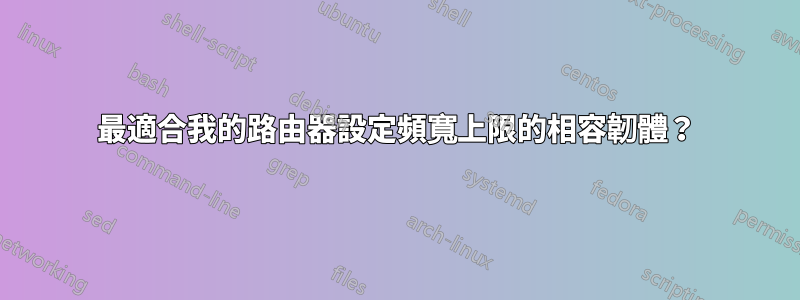 最適合我的路由器設定頻寬上限的相容韌體？