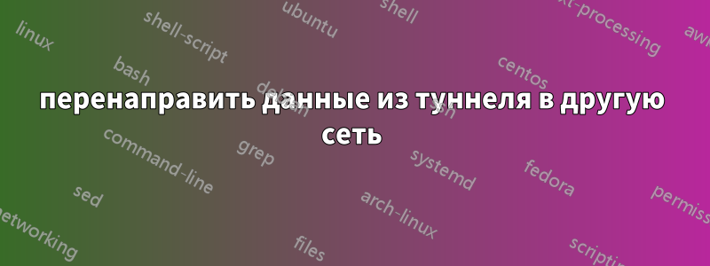 перенаправить данные из туннеля в другую сеть