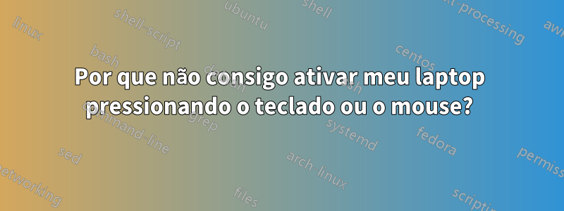 Por que não consigo ativar meu laptop pressionando o teclado ou o mouse?